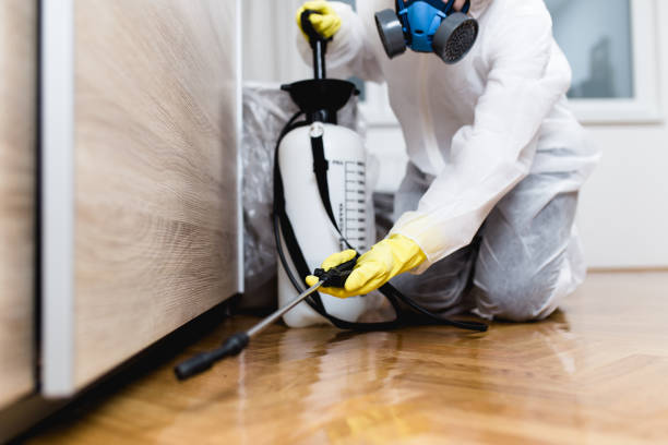 Best Best Pest Control Companies  in Hamlet, NC