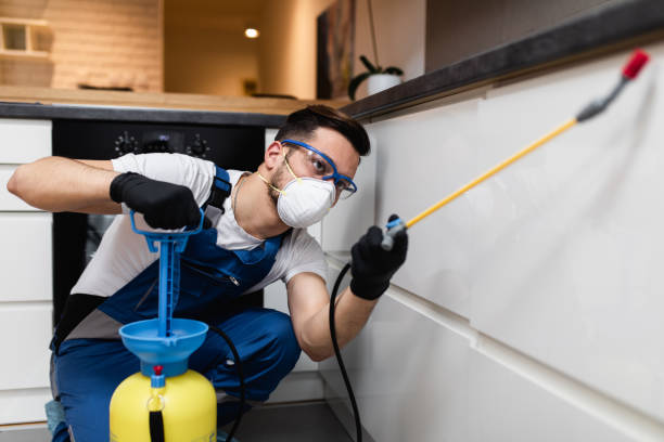 Best Mosquito Control Services  in Hamlet, NC