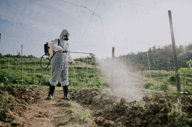 Best Commercial Pest Control Services  in Hamlet, NC