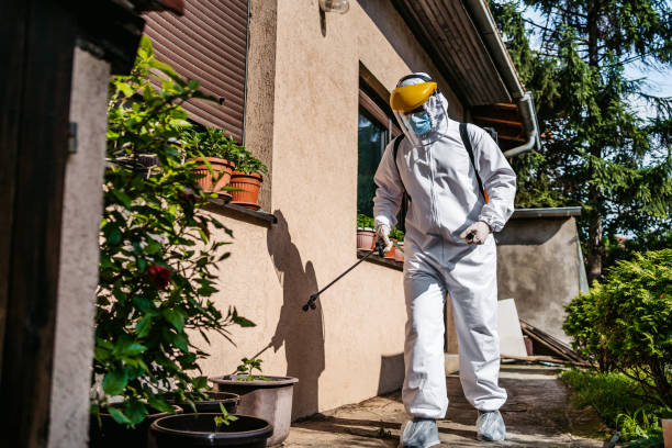 Insect Control in Hamlet, NC