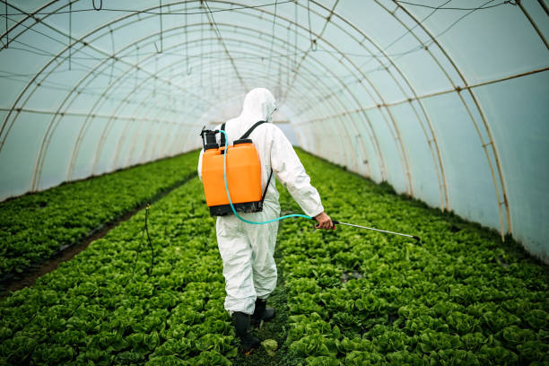 Best Affordable Pest Control Services  in Hamlet, NC