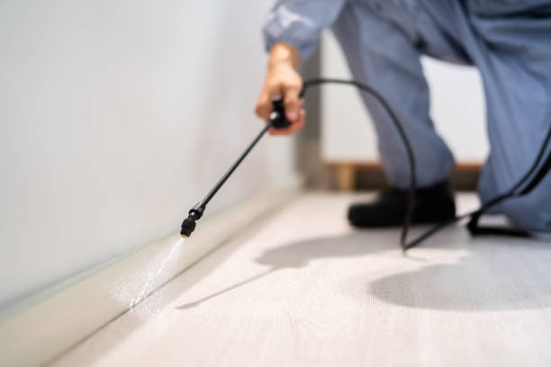 Best Pest Removal Services  in Hamlet, NC