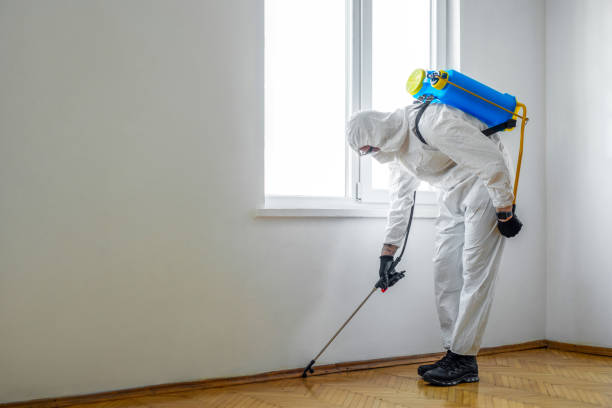 Flea Control Services in Hamlet, NC
