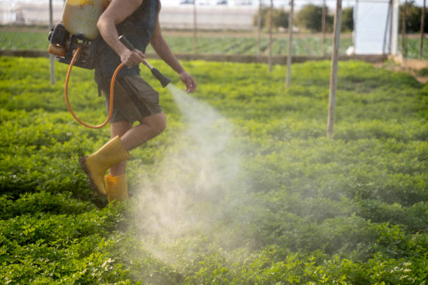Best Pest Control for Restaurants  in Hamlet, NC