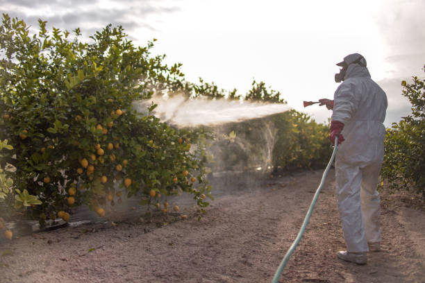 Best Best Pest Control Companies  in Hamlet, NC