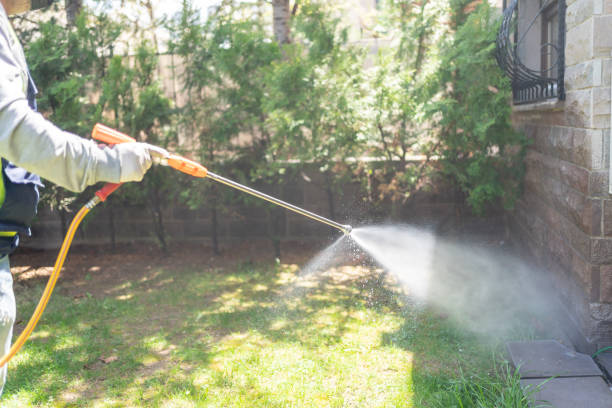 Best Rat Extermination Near Me  in Hamlet, NC