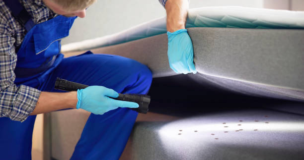 Best Pest Inspection Near Me  in Hamlet, NC