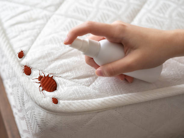 Best Commercial Pest Control Services  in Hamlet, NC