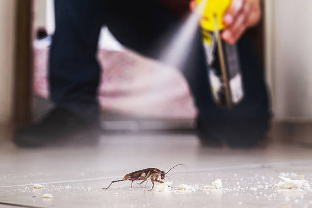 Best Exterminator Services  in Hamlet, NC