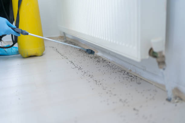 Trusted Hamlet, NC Pest Control Experts