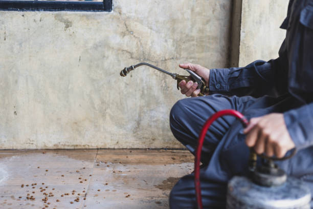Best Mosquito Control Services  in Hamlet, NC
